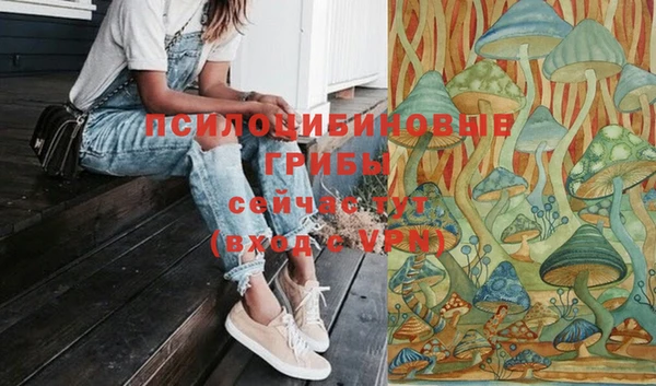 эйфоретик Армянск