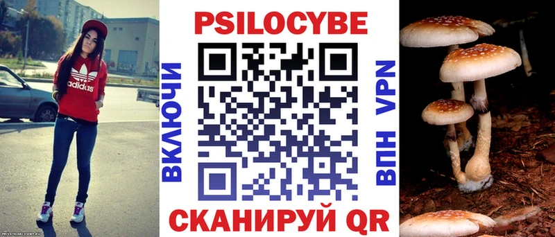Псилоцибиновые грибы мицелий  продажа наркотиков  Верхняя Пышма 